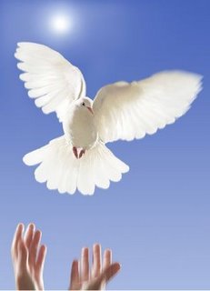 Senhor Jesus! Dai-nos a Paz! Nossa Senhora Santa'Anna! Mãe de Maria a Virgem Santíssima! Tende Piedade dos Justos de Coração.