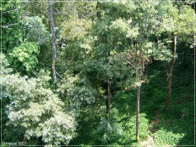 aa