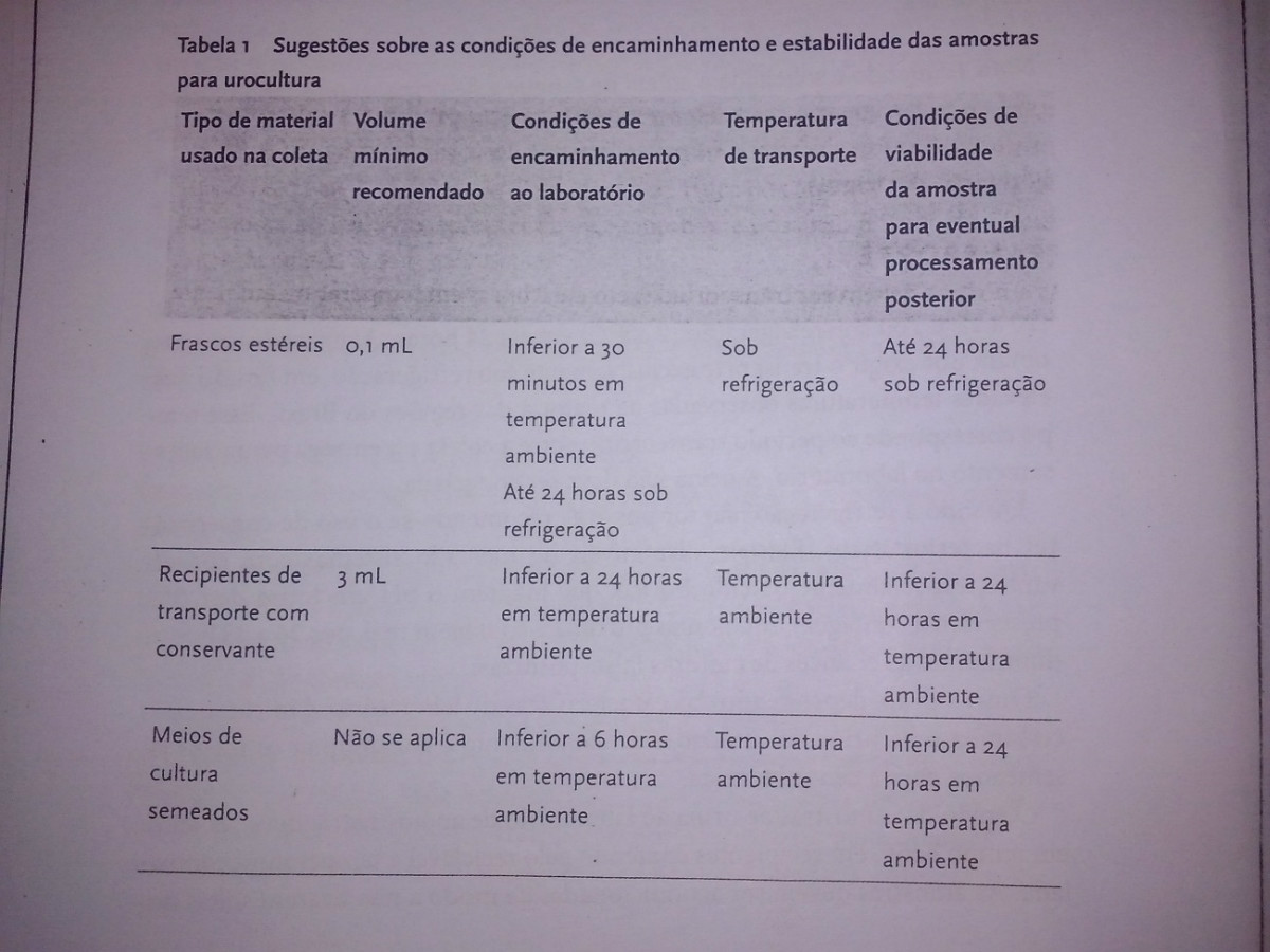 Exame urocultura