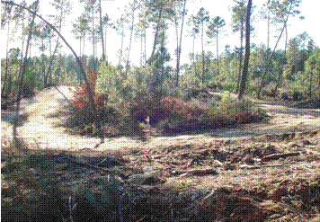 Pista Motocross