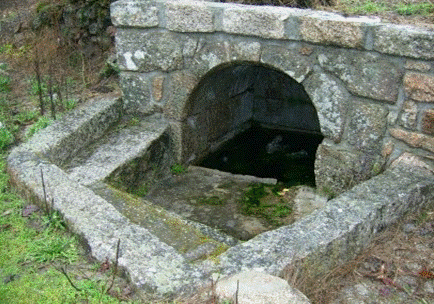 Chafurdo