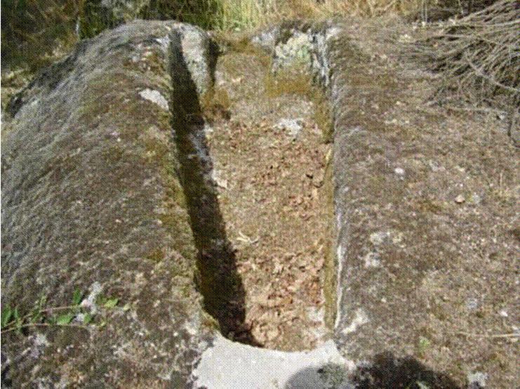 Sepulturas antromotficas