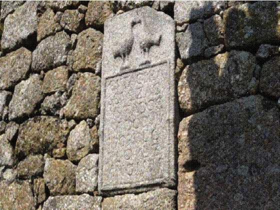 Tribunal de Ferreira de Aves