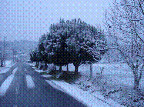 Neve