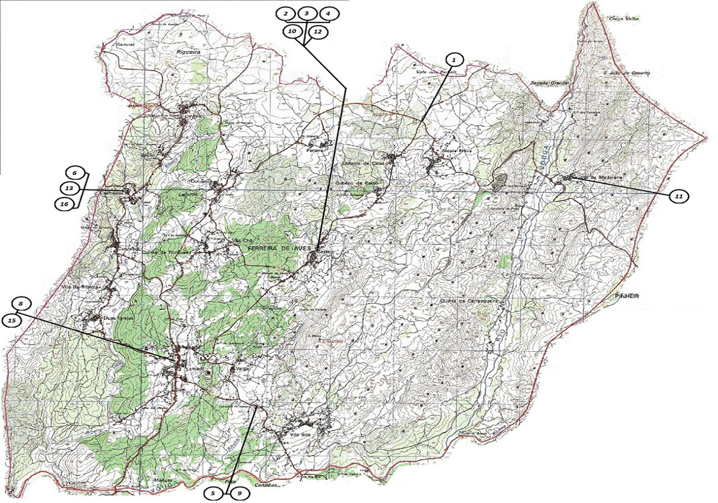 Mapa Freguesia Ferreira de Aves