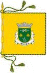 Bandeira freguesia de Mioma