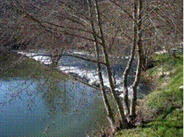 Rio Vouga