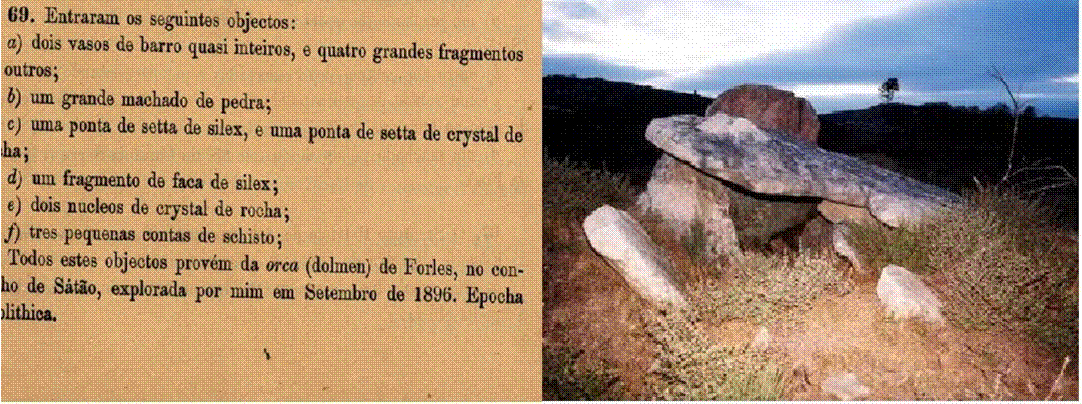 Orca de Forles