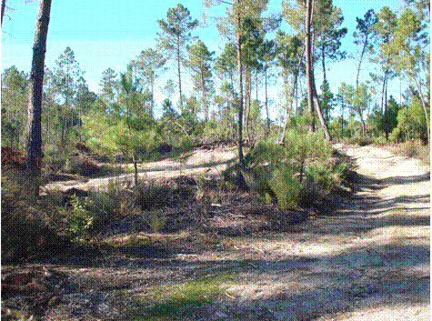 Pista de motocross e btt em Avelal