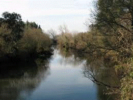 Rio Vouga