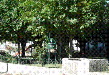Jardim publico o Chãozinho em Forles