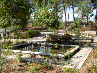 Jardim do santuario Sr. dos Caminhos