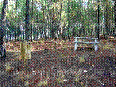 Parque Merendas em Pedrosinha