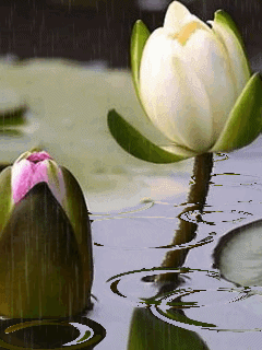 0226 0226.gif