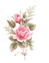 c c.png