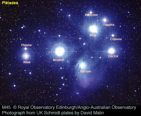 pleiades pleiades.jpg