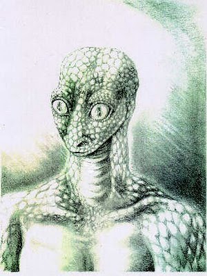 reptil reptil.jpg