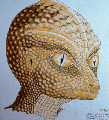 reptilian reptilian.png