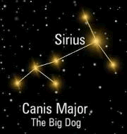 sirius siruis.png