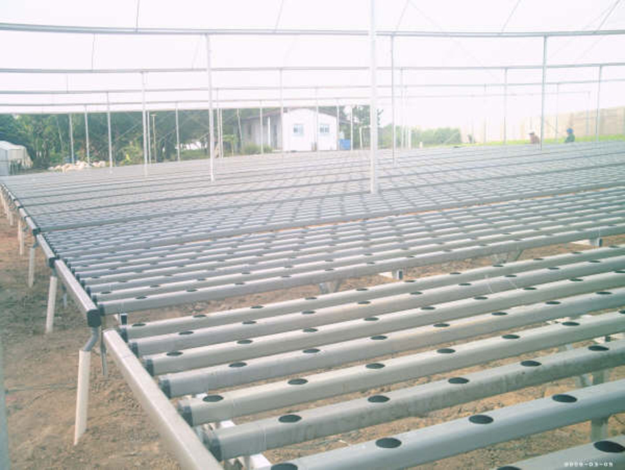 Bancada pronta para receber plantas pré-crescidas - lado de descarga de solução nutritiva