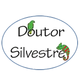 drsilvestre