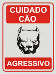 cão bravo