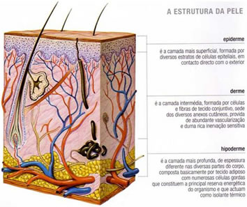 A Pele